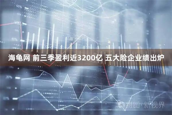 海龟网 前三季盈利近3200亿 五大险企业绩出炉
