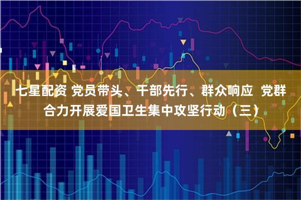 七星配资 党员带头、干部先行、群众响应  党群合力开展爱国卫生集中攻坚行动（三）