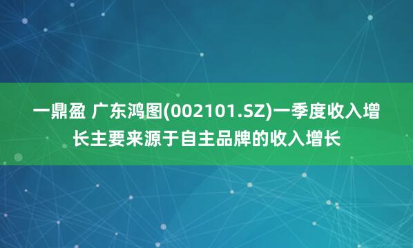 一鼎盈 广东鸿图(002101.SZ)一季度收入增长主要来源于自主品牌的收入增长
